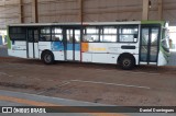 COOTEGO - Cooperativa de Transportes do Estado de Goiás 40055 na cidade de Goiânia, Goiás, Brasil, por Daniel Domingues. Número da foto: #11486590.