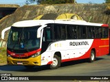 Rouxinol 2295 na cidade de Belo Horizonte, Minas Gerais, Brasil, por Matheus Adler. Número da foto: #:id.