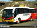 Rouxinol 2295 na cidade de Belo Horizonte, Minas Gerais, Brasil, por Matheus Adler. ID da foto: :id.