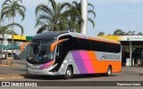 Transportadora Turística Petitto 6080 na cidade de Ourinhos, São Paulo, Brasil, por Francisco Ivano. Número da foto: #11419244.