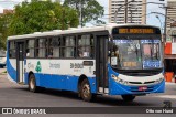 Transportes Barata BN-99009 na cidade de Belém, Pará, Brasil, por Otto von Hund. ID da foto: :id.