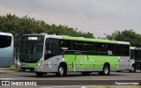 Viação Garcia 81016 na cidade de Maringá, Paraná, Brasil, por Francisco Ivano. Número da foto: #11419343.