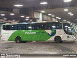Pássaro Verde 29020 na cidade de Belo Horizonte, Minas Gerais, Brasil, por Hariel Bernades. Número da foto: #11418131.