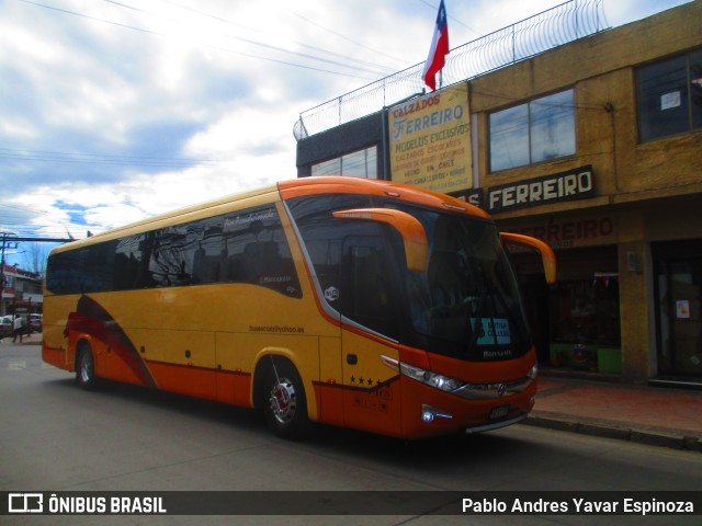 Buses Cariz 02 na cidade de Santa Cruz, Colchagua, Libertador General Bernardo O'Higgins, Chile, por Pablo Andres Yavar Espinoza. Número da foto: #11498902.
