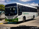 Nordestina Turismo 2014 na cidade de Recife, Pernambuco, Brasil, por Thiago Henrique. Número da foto: #11497027.