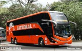 Catedral Turismo 23527 na cidade de São Paulo, São Paulo, Brasil, por Francisco Ivano. Número da foto: #11420771.