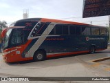 Expresso Adamantina 431112 na cidade de Presidente Prudente, São Paulo, Brasil, por Carlos Morais. Número da foto: #11424678.