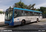 Princesinha do Vale 222301 na cidade de Resende, Rio de Janeiro, Brasil, por Hélio  Teodoro. Número da foto: #:id.