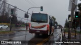 Bupesa 105 na cidade de Maipú, Santiago, Metropolitana de Santiago, Chile, por Benjamín Tomás Lazo Acuña. Número da foto: #11428392.
