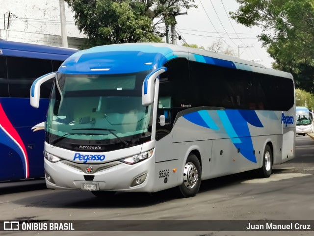 Pegasso 55206 na cidade de Gustavo A. Madero, Ciudad de México, México, por Juan Manuel Cruz. Número da foto: #11429150.