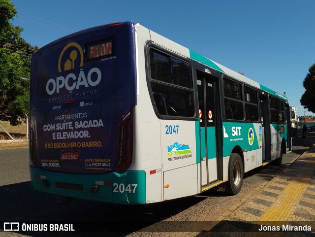 Transporte Urbano São Miguel de Uberlandia 2047 na cidade de Uberlândia, Minas Gerais, Brasil, por Jonas Miranda. Número da foto: #11429624.