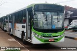 HP Transportes Coletivos 20357 na cidade de Goiânia, Goiás, Brasil, por Daniel Domingues. Número da foto: #11430990.
