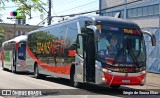 Trans Netti 51336 na cidade de Campinas, São Paulo, Brasil, por Sérgio de Sousa Elias. Número da foto: #:id.