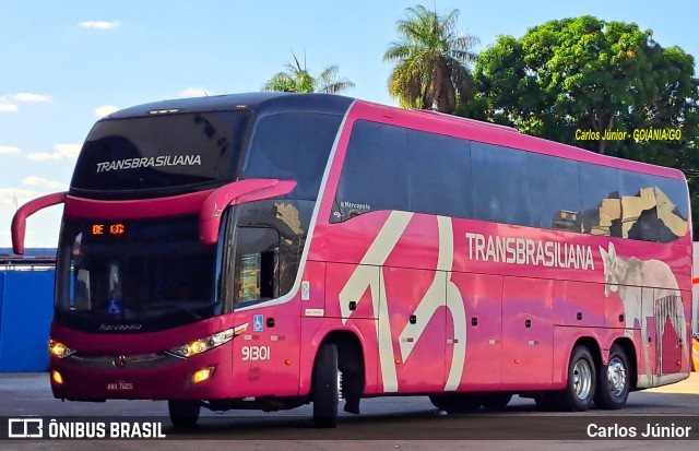 Transbrasiliana Transportes e Turismo 91301 na cidade de Goiânia, Goiás, Brasil, por Carlos Júnior. Número da foto: #11433956.