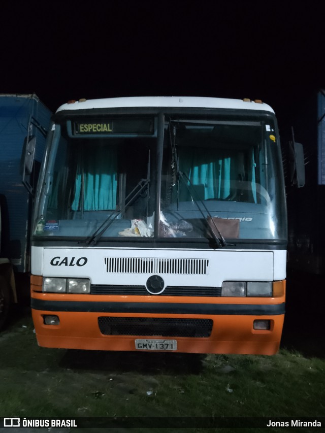 Galo Transporte 1371 na cidade de Belém, Pará, Brasil, por Jonas Miranda. Número da foto: #11434645.