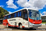 Rouxinol 2378 na cidade de Belo Horizonte, Minas Gerais, Brasil, por Welisson  Oliveira. Número da foto: #:id.